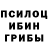Псилоцибиновые грибы ЛСД Aleksei Karchewskii