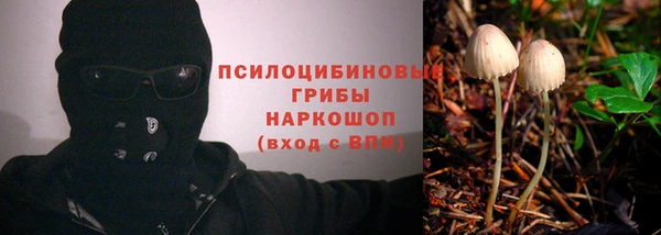 сатива Арсеньев