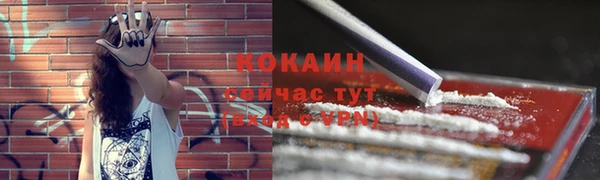 сатива Арсеньев