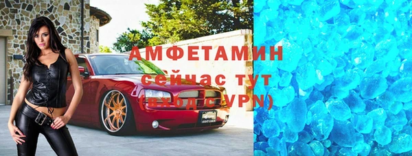 сатива Арсеньев