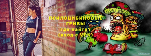 сатива Арсеньев