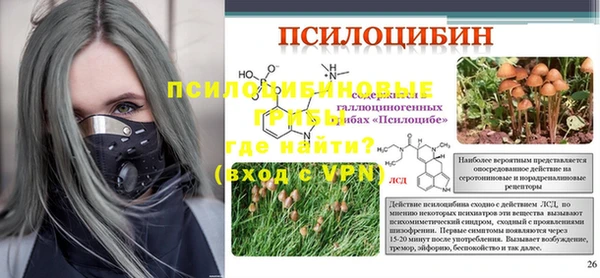 индика Аркадак