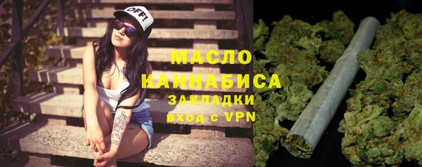 индика Аркадак
