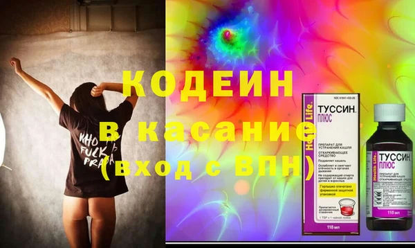 сатива Арсеньев