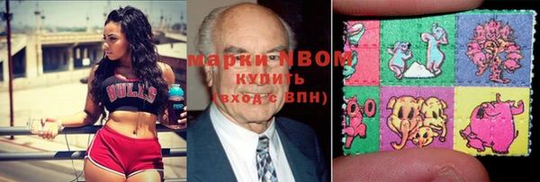 индика Аркадак